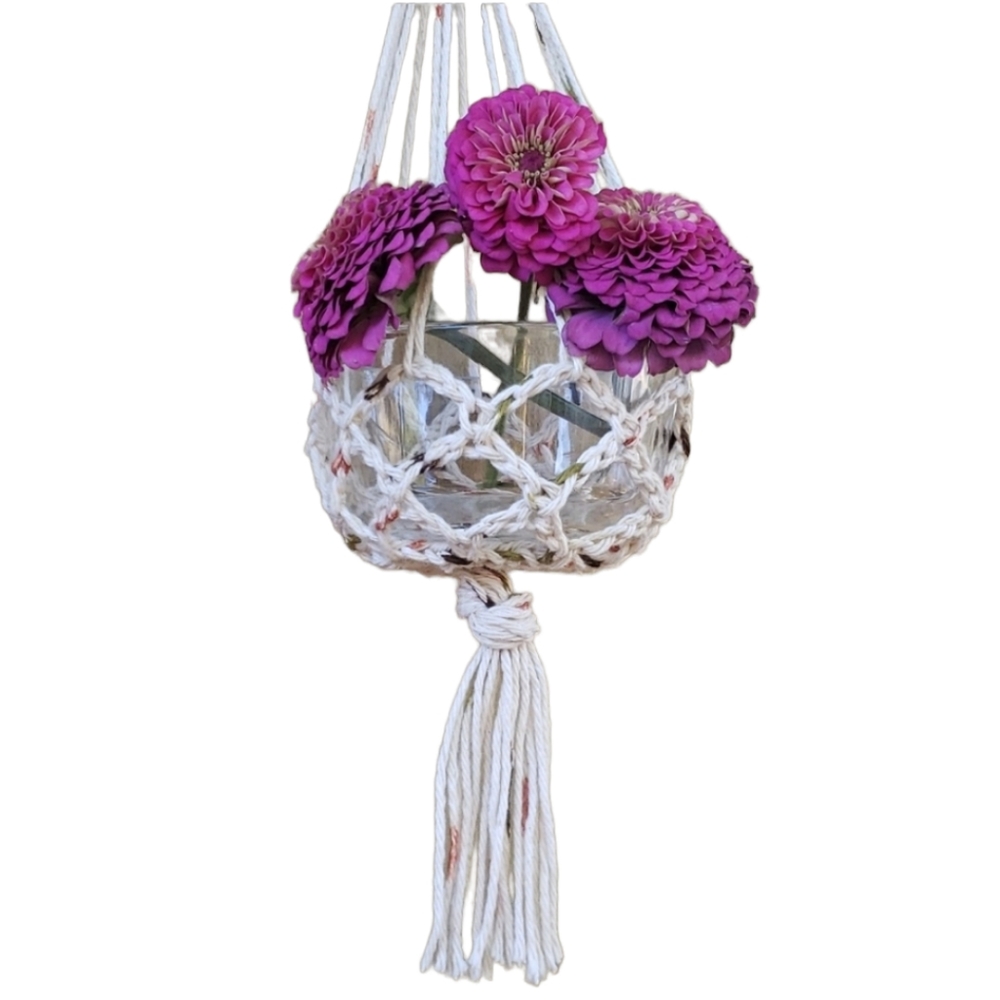 Plant Hanger